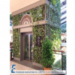 Glass Elevator - Standard Elevators Co., Ltd.