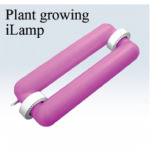 Plant growing iLamp - บริษัท เอเชีย ชไนเดอร์ (ประเทศไทย) จำกัด