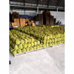 Sea freight Container Booking for Transporting Durian and Longan to China - All in one service for Export and Import, Freight Forwarder, Customs clearance, Transportation and Logistic