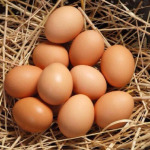 ไข่ไก่ - จิบฮวดหลี ฟาร์ม