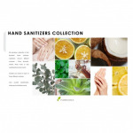 Hand sanitizers น้ำหอมสำหรับเจลล้างมือ - หัวเชื้อน้ำหอม เอฟ ที ฟราแกรนซ์ - ฟลอร์เอสเซนต์ (ไทยแลนด์)