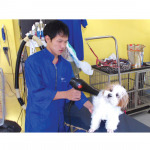 Baan Pattaya Animal Hospital