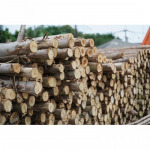 ไม้แบบงานก่อสร้าง ชลบุรี - บูรพาค้าไม้