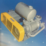Rotary vane vacuum pumps - บริษัท เอเซีย ปั๊ม เอ็นจิเนียริ่ง จำกัด