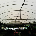 Tent Phabi Samut Sakhon