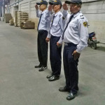 Security Jet Inter Guard Co Ltd