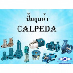 Calpeda water pump - M I T Water Co., Ltd.