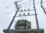 ไฟฟ้าโรงงานอุตสาหกรรม - Noppawaln Co., Ltd.