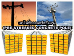เสาไฟฟ้าคอนกรีตอัดแรง (PRE-STRESSED CONCRETE POLE) - Best Pac Concrete Co Ltd