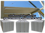 แผ่นพื้นคอนกรีตอัดแรงท้องเรียบ (PRE-STRESSED CONCRETE SLAB) - Best Pac Concrete Co Ltd