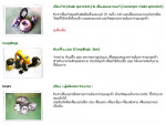 Tien Yuen Machinery MFG (Thailand) Co Ltd