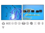 Bonzong Electronic Co Ltd