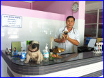 สัตวแพทย์ สวนสยาม - Suan Siam Veterinary