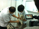 สัตวแพทย์ สวนสยาม - Suan Siam Veterinary