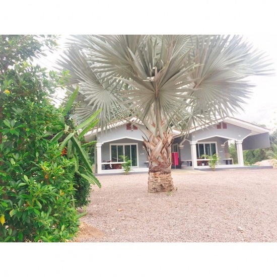 ที่พักขนอม ราคาถูก ที่พักขนอม  ที่พักนครศรีธรรมราช  ที่พักสุราษฎร์ธานี  บ้านพักติดทะเล  ที่พักติดทะเลขนอม  ที่พักติดทะเลศิชล  ที่พักใกลวัดไอ้ไข่ ที่พักขนอม ริมทะเล  ที่พักขนอม บ้านเป็นหลัง  ที่พักขนอมติดทะเล ราคาถูก  ที่พักขนอมแบบครอบครัว 