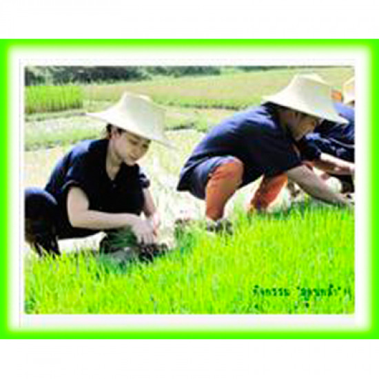 ทราเวิล