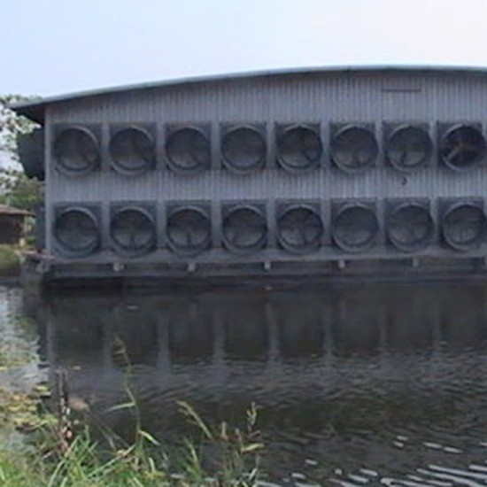 รับสร้างฟาร์มอีแวป ฟาร์มเลี้ยงสัตว์ 