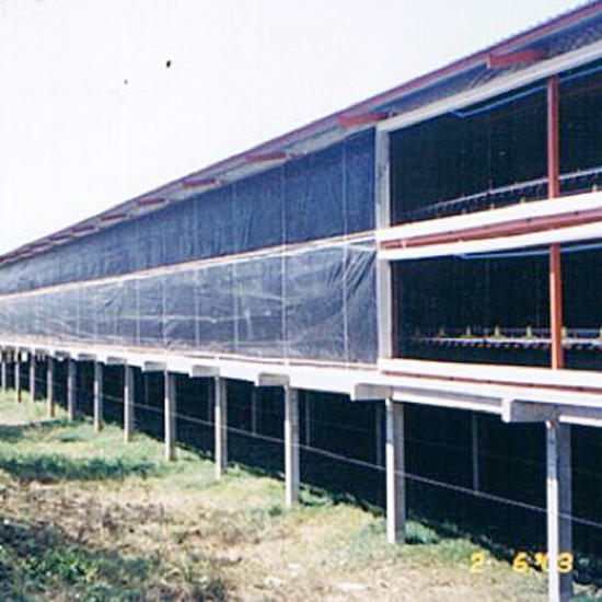 ฟาร์มระบบปิด ฟาร์มระบบปิด  ฟาร์มเลี้ยงสัตว์ 