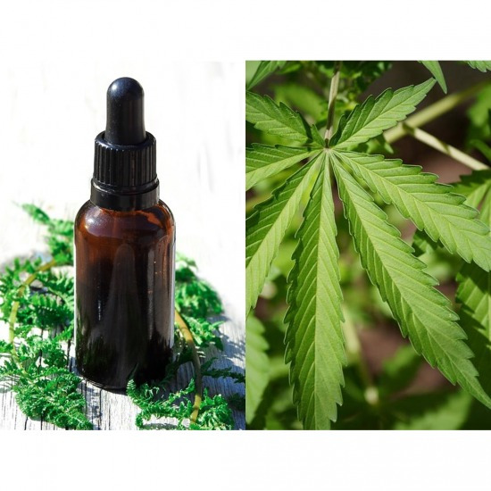 Fragrance oil inspired by Cannabis Fragrance oil inspired by Cannabis 