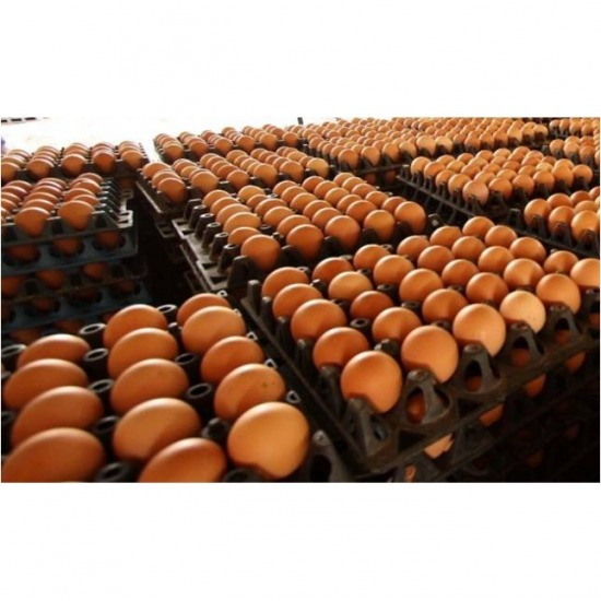 จำหน่ายไข่ไก่สด นครสวรรค์ จำหน่ายไข่ไก่ นครสวรรค์ 