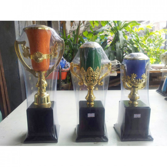 ถ้วยรางวัลพลาสติก จำหน่ายถ้วยรางวัล  ขายถ้วยรางวัลพลาสติก  ผลิตถ้วยรางวัลพลาสติก 